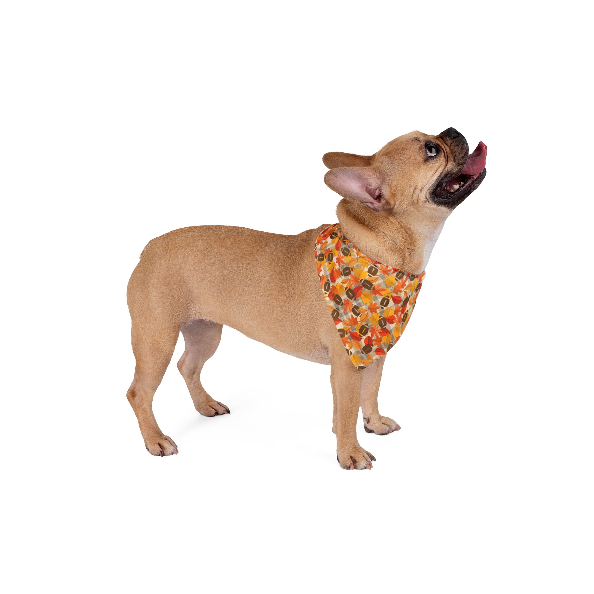 Fall Ball Bandana - Small