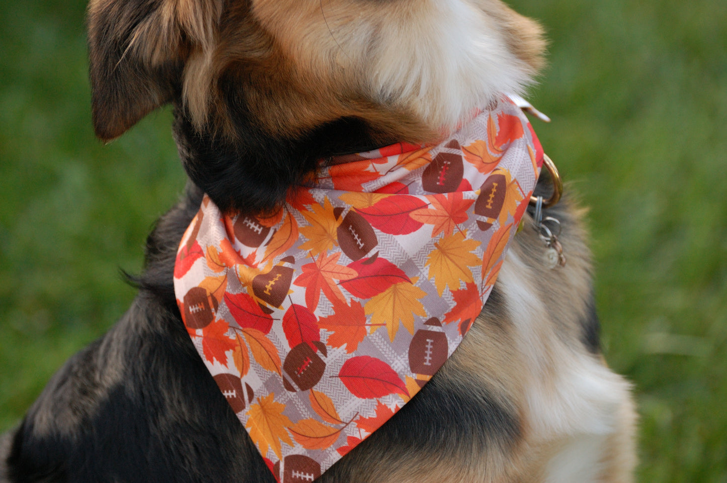 Fall Ball - Dog Bandana