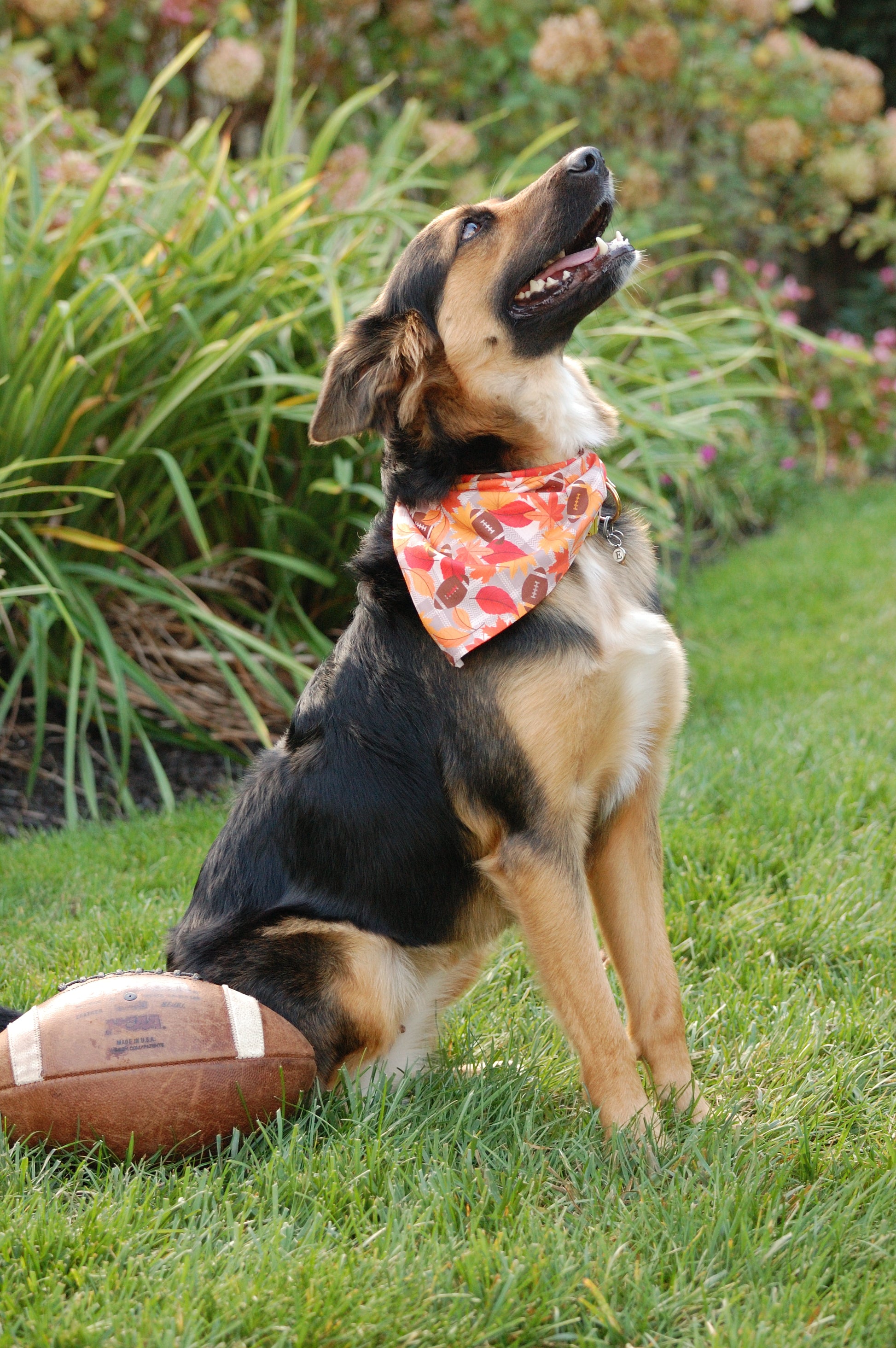 Fall Ball Bandana